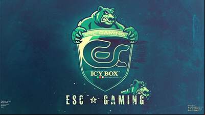  CS 1.6 ESC Gaming